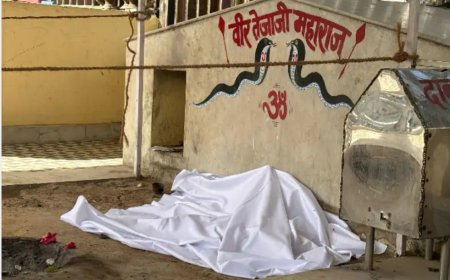 जयपुर में वीर तेजाजी मंदिर में मूर्ति तोड़े जाने से भड़का आक्रोश: टोंक रोड जाम, पुलिस ने किया हल्का बल प्रयोग