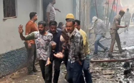अजमेर के नाज होटल में भीषण आग: चार की मौत, कई झुलसे, मां ने खिड़की से फेंककर बचाई बच्चे की जान