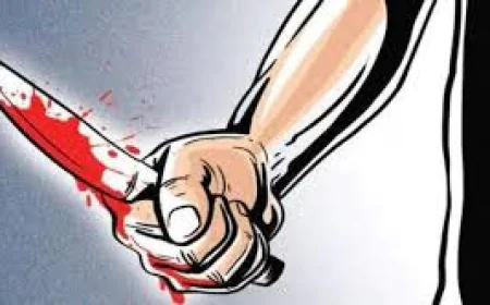छपरा में आइसक्रीम बनी खूनी विवाद की वजह, भाई ने भाई की चाकू मारकर की हत्या