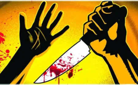 खून का रिश्ता खाक: बेटे ने मां को मारकर खुद भी जान दी