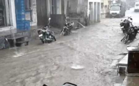 राजस्थान में बारिश ने लिया काल  का रूप,भीलवाड़ा में दो मासूम भाईयों की नाले में डूबने से मौत।