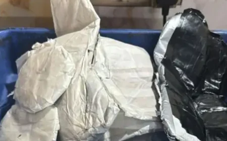 हवाई अड्डे पर 28 किलो सोने की तस्करी नाकाम, दो यात्री गिरफ्तार