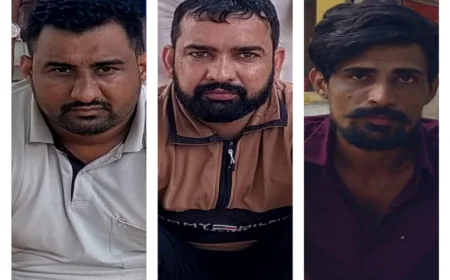 पुलिस की बड़ी कार्रवाई: अवैध हथियारों के साथ तीन गिरफ्तार