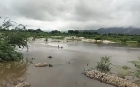 बनास नदी में फंसे दो छात्र, कॉन्स्टेबल की बहादुरी ने बचाई जान...