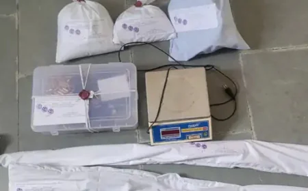 नशा तस्करी और अवैध हथियारों का जखीरा बरामद, आरोपी फरार