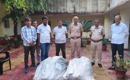 9 लाख का गांजा बाजरे की आड़ में छिपा, पुलिस ने मारा छापा