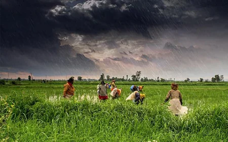भारत में मॉनसून की बारिश और मौसम का ताजा अनुमान, किसानों के लिए जरूरी खबर!