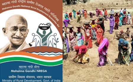 मनरेगा के तहत 94 कार्यों के लिए 238.73 लाख रुपये मंजूर, अनुसूचित जाति परिवारों को मिलेगा लाभ.