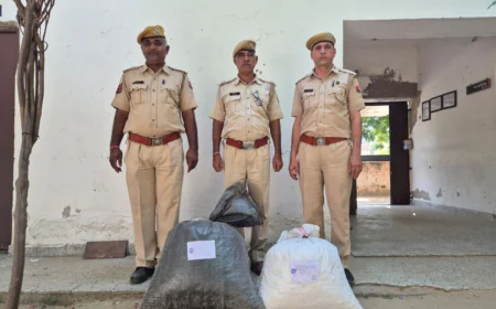 27 किलो से ज्यादा डोडा-पोस्त बरामद, तस्कर फरार