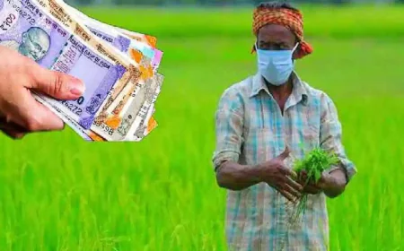 मृत किसानों के नाम पर करोड़ों की लूट! राजस्थान में फसल बीमा का 122 करोड़ का महाघोटाला सरसों को गेहूं बताकर ठगे गए हजारों किसान.