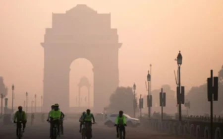 दिल्ली में प्रदूषण के खिलाफ सरकार के दो बड़े फैसले: मजदूरों को 10 हजार रुपये की सहायता और 50% वर्क फ्रॉम होम अनिवार्य