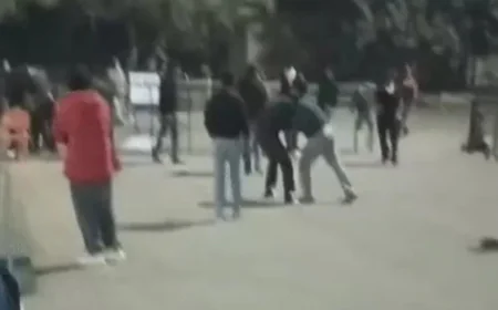 भीलवाड़ा मेडिकल कॉलेज में इंटर्न डॉक्टरों की मारपीट: खाने की लाइन से शुरू हुआ विवाद, ट्रॉमा सेंटर के बाहर लाठी से हमला