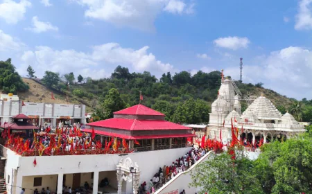 बाड़मेर: विरात्रा माता मंदिर में फोटोग्राफी टेंडर को लेकर दो फोटोग्राफर गुटों में जमकर मारपीट, लाठियां-सरिए चले; ट्रस्ट ने टेंडर किया निरस्त