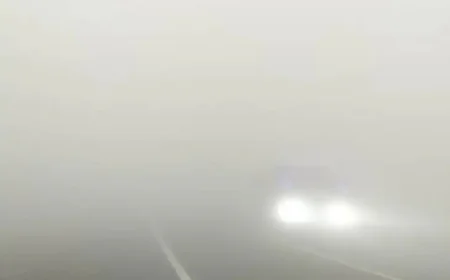 बाड़मेर में नए साल की शुरुआत घने कोहरे और कड़ाके की ठंड के साथ