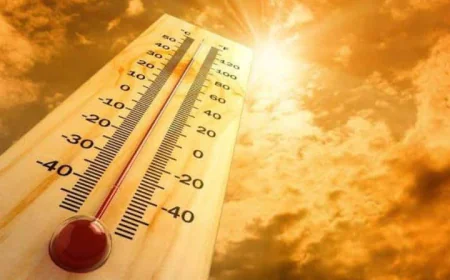 राजस्थान में मार्च की शुरुआत में ही बढ़ी गर्मी, दिन में तेज धूप से बढ़ी परेशानी