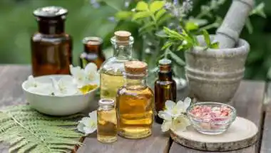 प्राकृतिक ब्यूटी प्रोडक्ट्स की ओर बढ़ता रुझान: एलोवेरा और ऑर्गेनिक इंग्रीडिएंट्स की बढ़ती मांग
