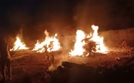 एक साथ उठीं 4 दोस्तों की अर्थियां: रामदेवरा से लौट रही कार बस से टकराई