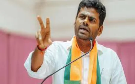 तमिलनाडु में BJP छोड़ते ही अन्नामलाई ने नई पार्टी बनाई, अगला चुनाव लड़ने का ऐलान; बोले- आलाकमान से थे मतभेद