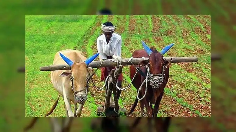 जिस किसान के बिना एक निवाला भी मुमकिन नहीं, उसी अन्नदाता की अहमियत भूलता जा रहा डिजिटल दौर!