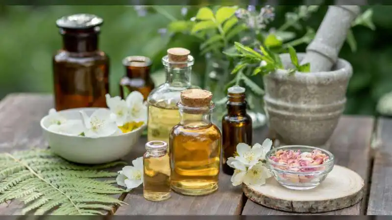 प्राकृतिक ब्यूटी प्रोडक्ट्स की ओर बढ़ता रुझान: एलोवेरा और ऑर्गेनिक इंग्रीडिएंट्स की बढ़ती मांग
