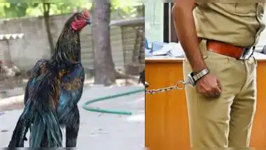 1000 रुपये और एक मुर्गे की घूस ने पहुंचाया जेल, ASI कालूराम को 4 साल की सजा