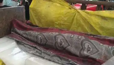 धौलपुर में 16 वर्षीय किशोर की पत्थर से सिर कुचलकर हत्या, जंगल में मिला शव; गिरफ्तारी की मांग पर हाईवे जाम