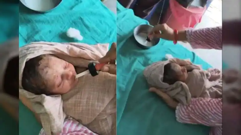 बीकानेर में झाड़ियों के बीच मिला नवजात, चींटियों से घिरा तड़प रहा था मासूम... ग्रामीणों ने बचाई जान
