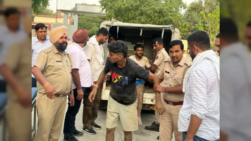 पंजाब बॉर्डर पर पुलिस-बदमाशों की मुठभेड़, भागते वक्त पुल से गिरे 5 आरोपी... 3 पिस्टल बरामद