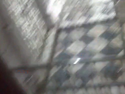 पाली मंदिर में पिस्टल की नोक पर 8-9 किलो चांदी की चोरी, पुजारी परिवार को दी गोली मारने की धमकी