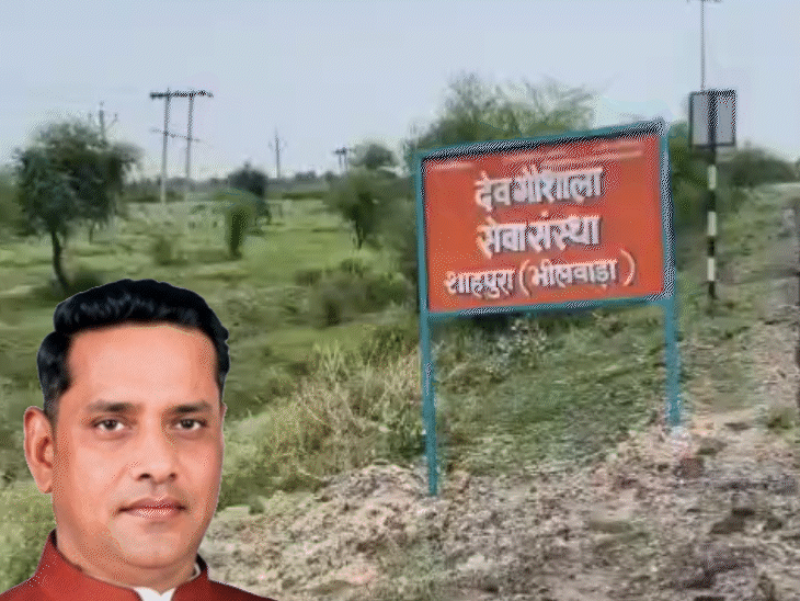 भाजपा विधायक लालाराम बैरवा पर 20 बीघा चारागाह जमीन कब्जाने का आरोप, गोशाला के नाम पर घेराबंदी