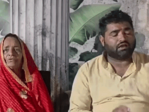 अलवर में 100 करोड़ की गोचर भूमि पर फर्जी पट्टों का खेल, मृतकों के नाम भी जारी हुए दस्तावेज