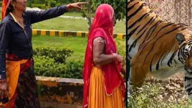घास काट रही महिलाओं के सामने अचानक खुला पिंजरा, खूंखार बाघ ने पल भर में महिला को नोच डाला!