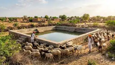 एक भाई को बचाने के चक्कर में डिग्गी में कूदे तीन बच्चे, 3 की मौत