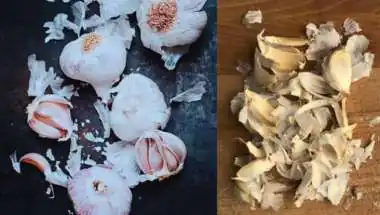भूलकर भी न फेंके लहसुन के छिलके! बिना बैटरी के ही पैदा कर देंगे 400 वोल्ट का करंट, जानें कैसे?
