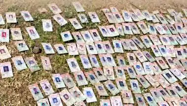 नदी में तैरते मिले 343 डिजिटल वोटर कार्ड, क्या चुनाव में हुई है सबसे बड़ी 'वोट चोरी'?
